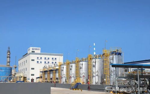 東營2021年重點(diǎn)項(xiàng)目觀摩 萬達(dá)集團(tuán)四大項(xiàng)目引領(lǐng)產(chǎn)業(yè)升級，助推國內(nèi)旅游業(yè)務(wù)發(fā)展